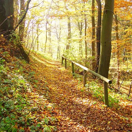 فندق كولاستر جاستهوف روجينبيرج Roggenburg المظهر الخارجي الصورة
